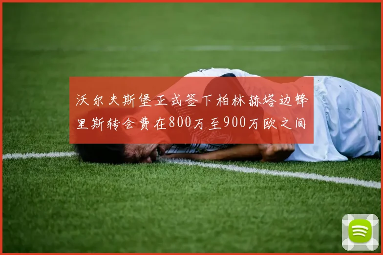 沃尔夫斯堡正式签下柏林赫塔边锋里斯转会费在800万至900万欧之间