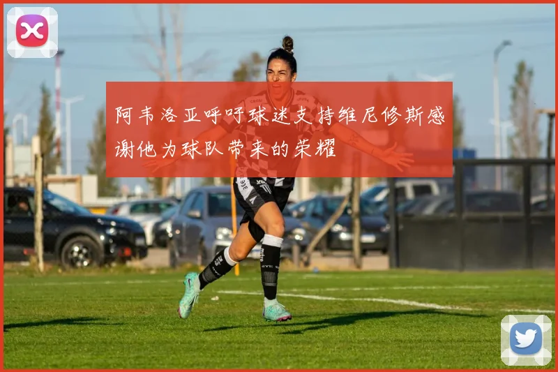 阿韦洛亚呼吁球迷支持维尼修斯感谢他为球队带来的荣耀